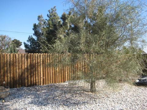 15794 Willow St, Hesperia, CA 92345 photo 42