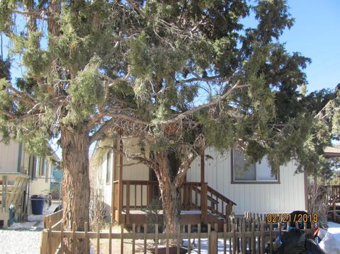 905 Spruce Ln, Big Bear City, CA 92314 photo 3