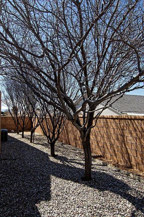 13490 Paraiso Rd, Apple Valley, CA 92308 photo 10