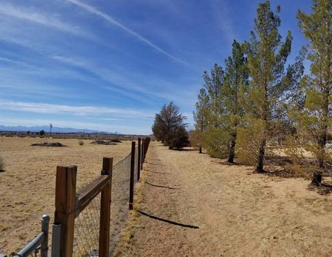 23477 Little Teepee Rd, Apple Valley, CA 92307 photo 34