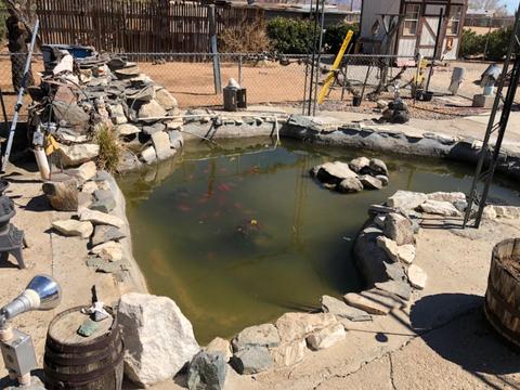 11037 Saratoga Rd, Apple Valley, CA 92308 photo 39