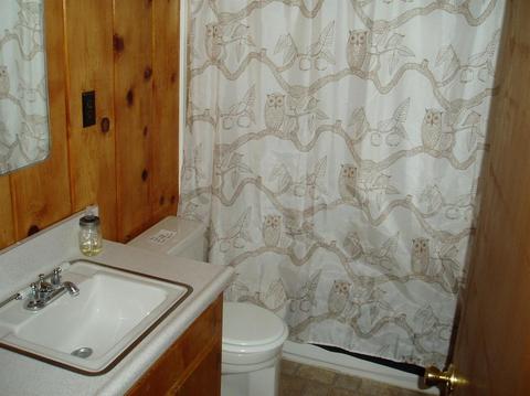 1073 Edna St, Wrightwood, CA 92397 photo 9