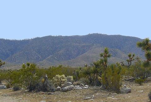 Undisclosed, Lucerne Valley, CA 92356 photo 19