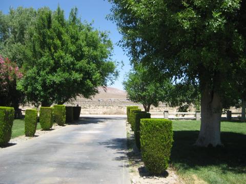 39661 Mountain View Rd, Yermo, CA 92398 photo 7