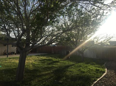 Undisclosed, Hesperia, CA 92345 photo 13