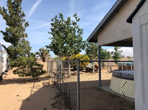 6829 Juniper Rd, Phelan, CA 92371 photo 3