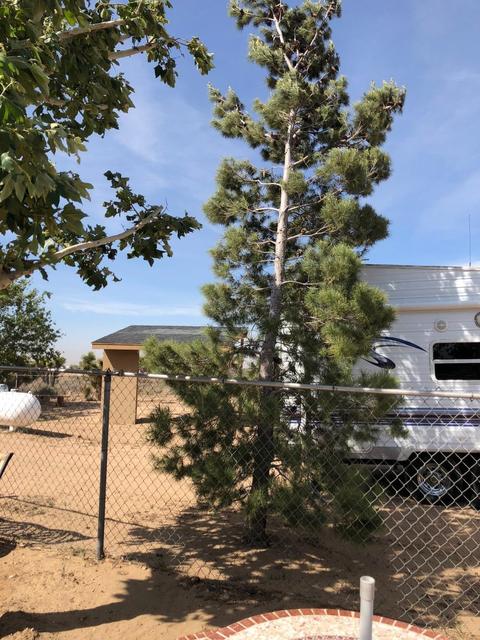 6829 Juniper Rd, Phelan, CA 92371 photo 36