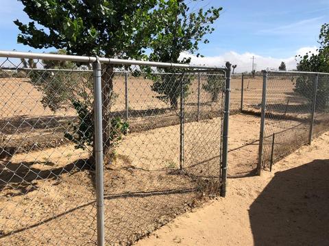 6829 Juniper Rd, Phelan, CA 92371 photo 33