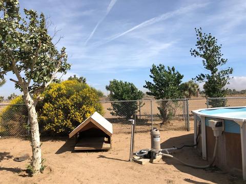 6829 Juniper Rd, Phelan, CA 92371 photo 30