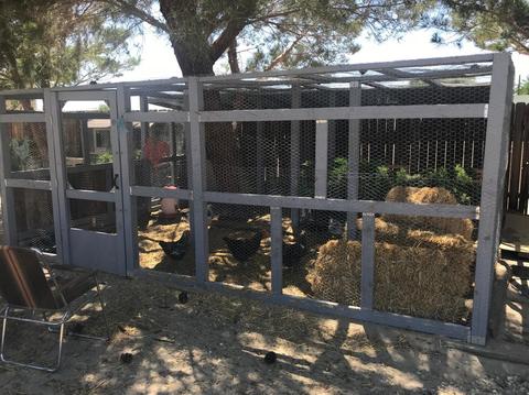 31961 Nelson Rd, Barstow, CA 92311 photo 44