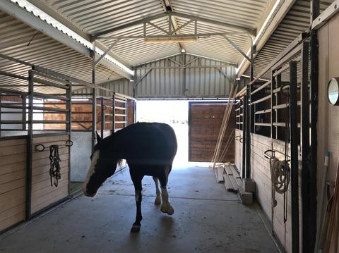 31961 Nelson Rd, Barstow, CA 92311 photo 37