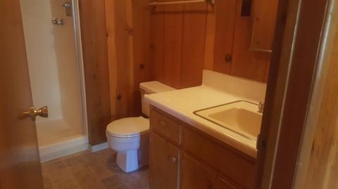 23404 Flume Canyon Dr, Wrightwood, CA 92397 photo 11