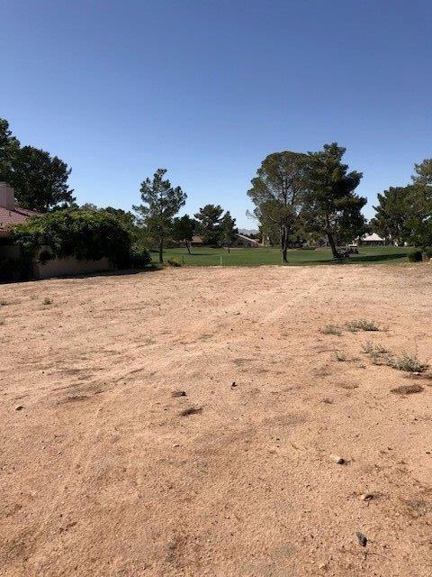 Undisclosed, Helendale, CA 92342 photo 3