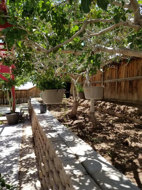 11685 Villa St, Adelanto, CA 92301 photo 53