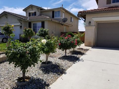 11685 Villa St, Adelanto, CA 92301 photo 2