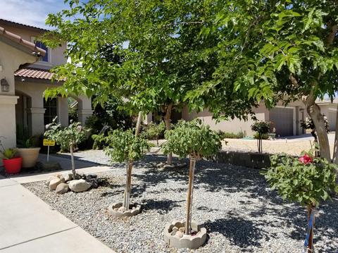 11685 Villa St, Adelanto, CA 92301 photo 4