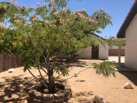 1141 Arroyo Dr, Barstow, CA 92311 photo 72