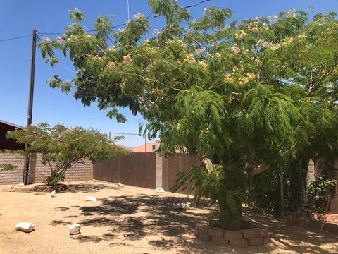 1141 Arroyo Dr, Barstow, CA 92311 photo 70