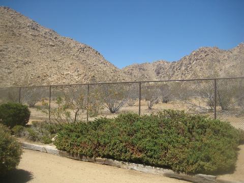 17047 Tiama Rd, Apple Valley, CA 92307 photo 41