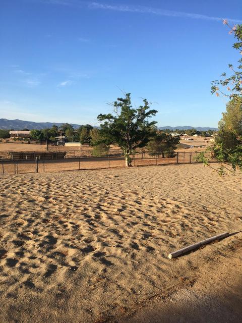 18523 Pacific St, Hesperia, CA 92345 photo 14