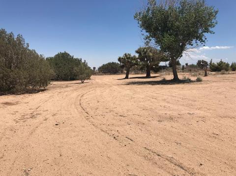10373 Barbet Rd, Phelan, CA 92371 photo 29