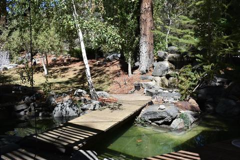 928 Snowbird Rd, Wrightwood, CA 92397 photo 16
