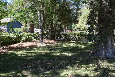 928 Snowbird Rd, Wrightwood, CA 92397 photo 24