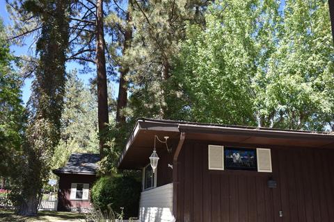 928 Snowbird Rd, Wrightwood, CA 92397 photo 5