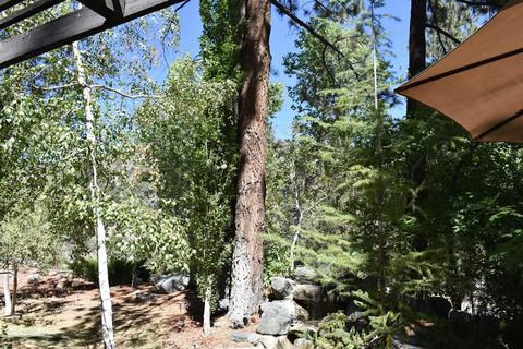 928 Snowbird Rd, Wrightwood, CA 92397 photo 17