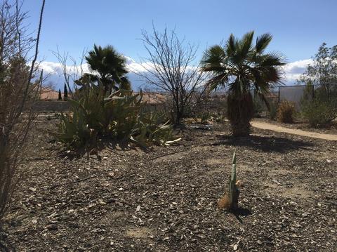 16232 Menahka Rd, Apple Valley, CA 92307 photo 38