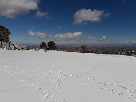 8055 Scenic Dr, Wrightwood, CA 92397 photo 18