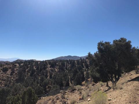 8055 Scenic Dr, Wrightwood, CA 92397 photo 7