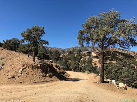 8055 Scenic Dr, Wrightwood, CA 92397 photo 9