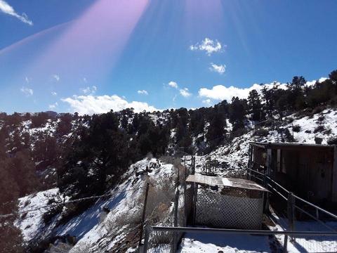 8055 Scenic Dr, Wrightwood, CA 92397 photo 21