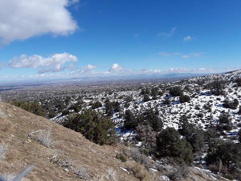8055 Scenic Dr, Wrightwood, CA 92397 photo 14