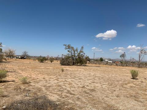 11197 Mills Rd, Apple Valley, CA 92308 photo 2
