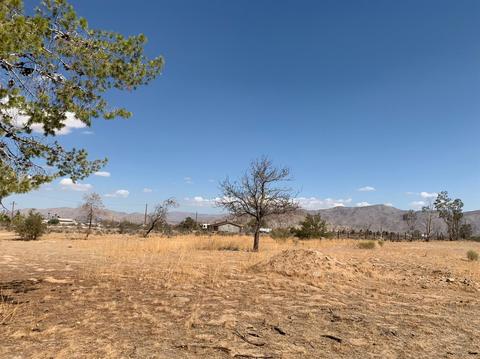 11197 Mills Rd, Apple Valley, CA 92308 photo 4