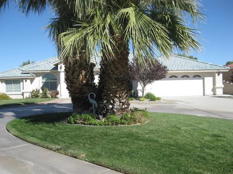 39473 Mountain View Rd, Yermo, CA 92398 photo 30