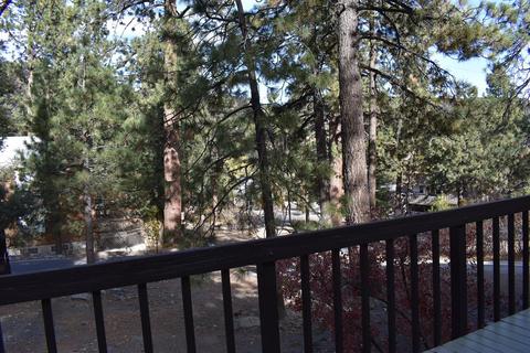 671 Lark Dr, Wrightwood, CA 92397 photo 5