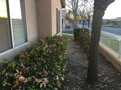 11650 Oak St, Apple Valley, CA 92308 photo 32
