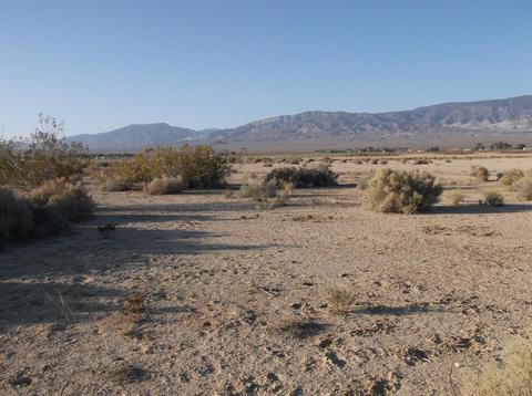 Undisclosed, Lucerne Valley, CA 92356 photo 37