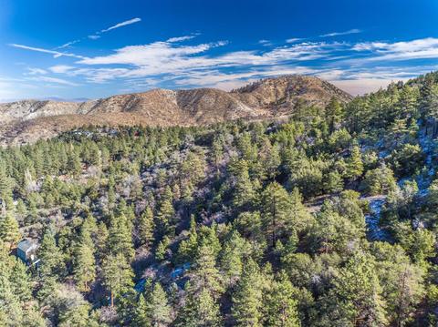5434 Juniper Dr, Wrightwood, CA 92397 photo 17