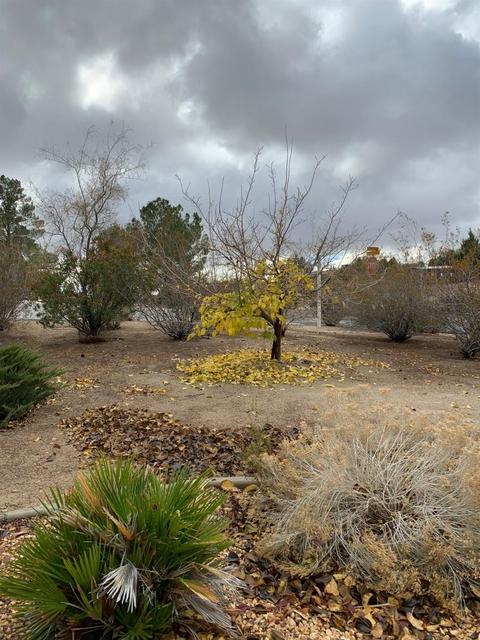 18700 Chaco Ln, Apple Valley, CA 92307 photo 3