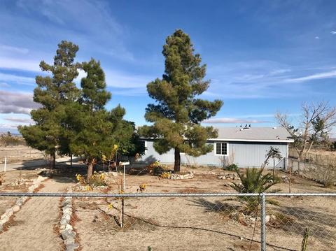 572 Madera Rd, Pinon Hills, CA 92372 photo 2