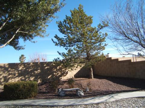 12815 Quail Summit Rd, Apple Valley, CA 92308 photo 40