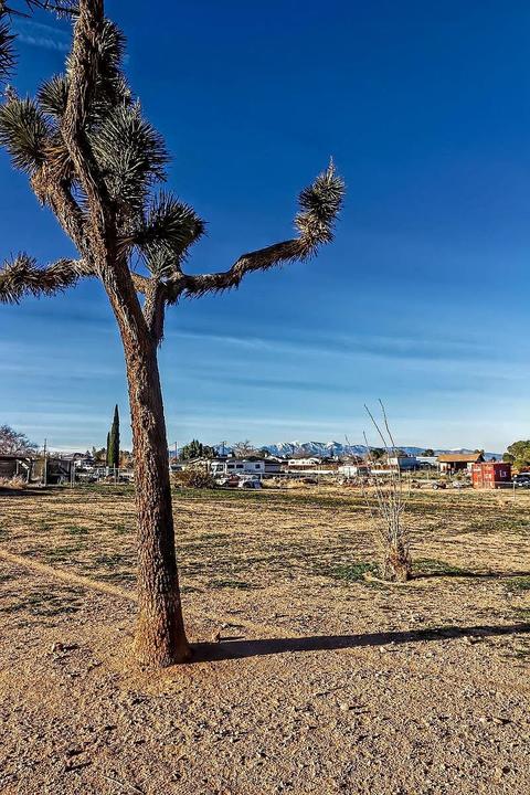 16759 Eucalyptus St, Hesperia, CA 92345 photo 11