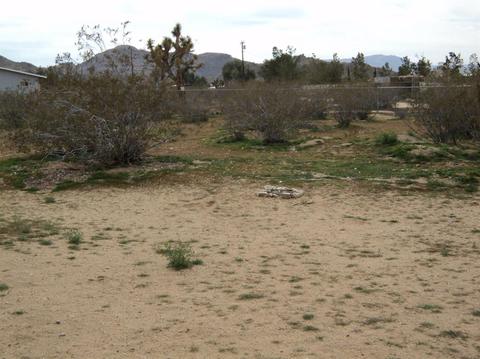 25131 Clark Rd, Apple Valley, CA 92307 photo 44