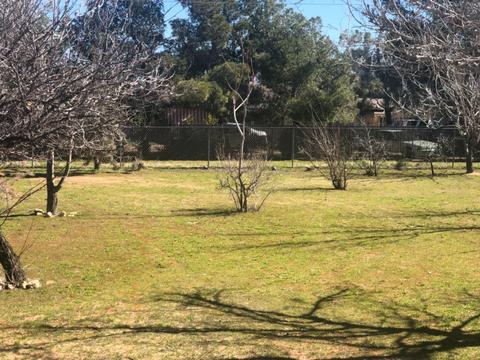 7457 Oxford Ave, Hesperia, CA 92345 photo 7