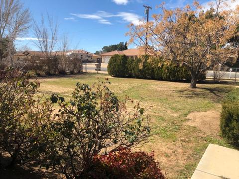7457 Oxford Ave, Hesperia, CA 92345 photo 13
