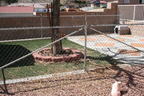 16046 Wato Rd, Apple Valley, CA 92307 photo 18